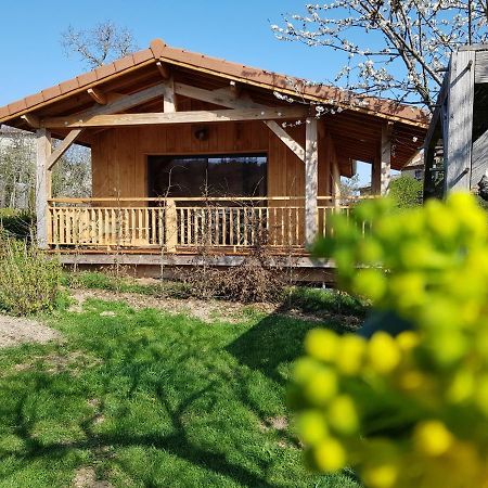 La cabane du jardin Bongheat Extérieur photo
