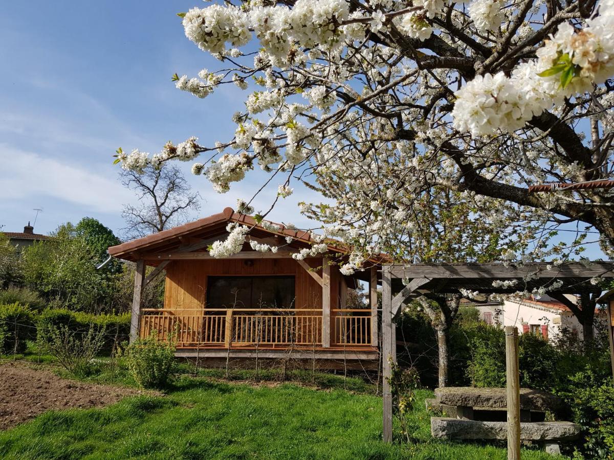 La cabane du jardin Bongheat Extérieur photo